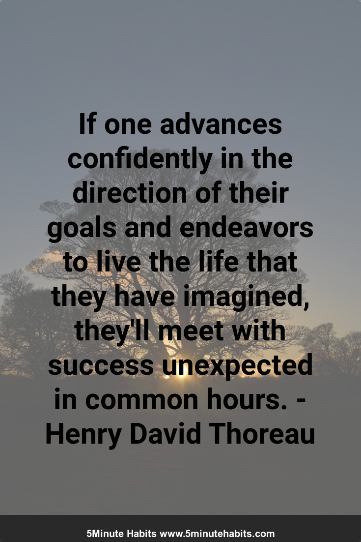 If one advances confidently in the direction of their goals and endeavors to live the life that they have imagined, they'll meet with success unexpected in common hours. - Henry David Thoreau